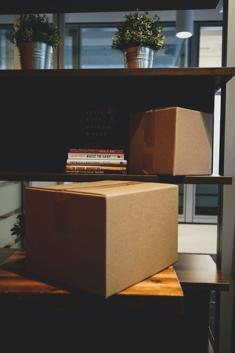 How to Keep Your Move Organized
