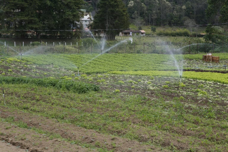 How Water Quality Impacts Irrigation System Performance